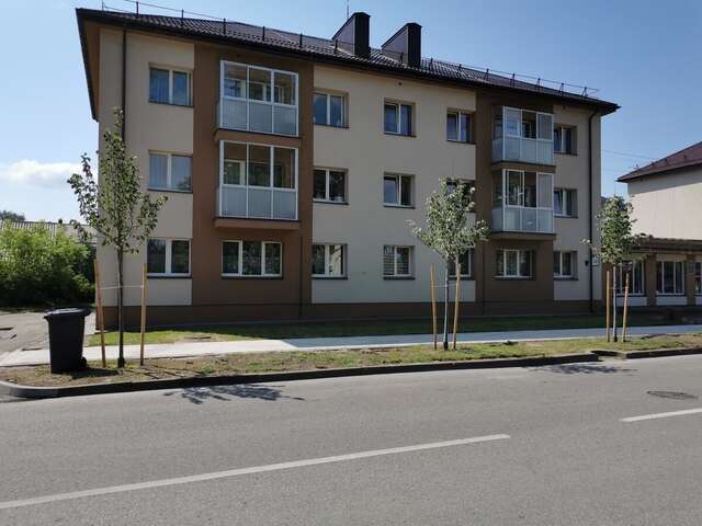 Апартаменты Central Apartments Nojus Друскининкай-20