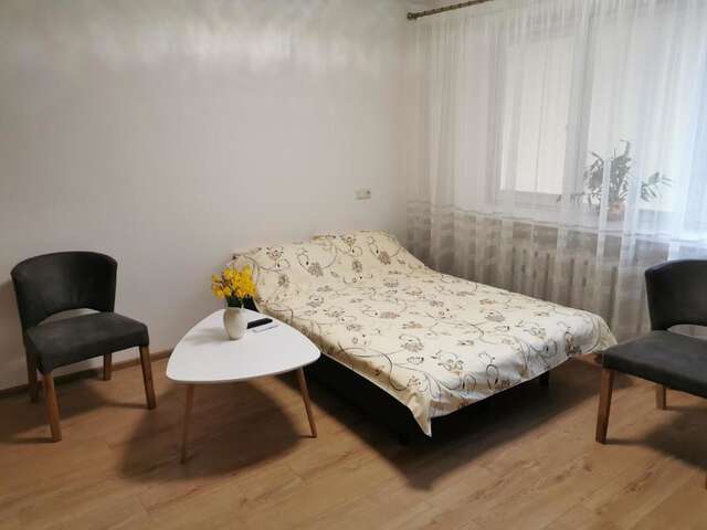 Апартаменты Central Apartments Nojus Друскининкай-31